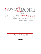 plano 25 27